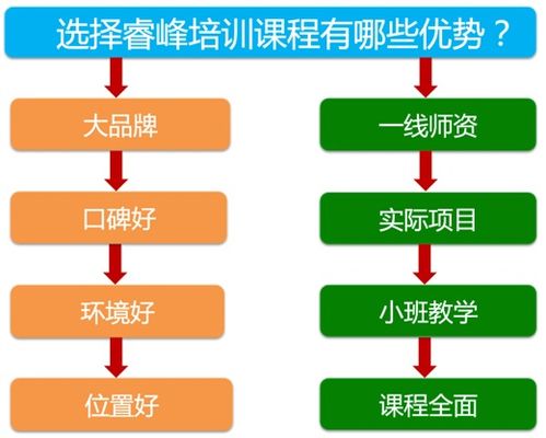 成都網(wǎng)絡(luò)營(yíng)銷(xiāo)培訓(xùn)與網(wǎng)絡(luò)技術(shù)服務(wù)概覽